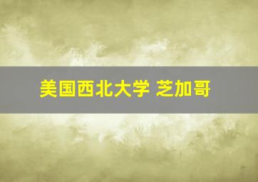 美国西北大学 芝加哥